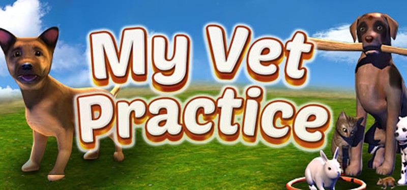 My Vet Practice Game Cover