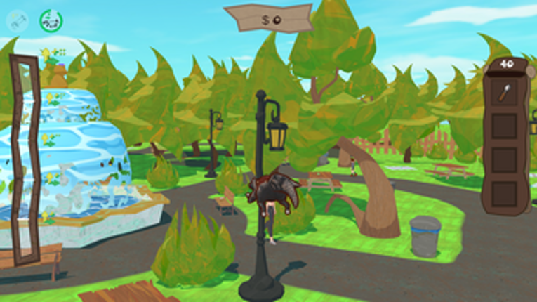 Raccoon Rascal Image