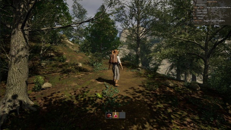 The Wandering Trader screenshot