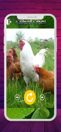 2020 اصوات الحيوانات screenshot