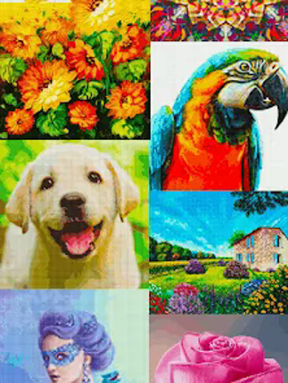 Cross Stitch Joy screenshot