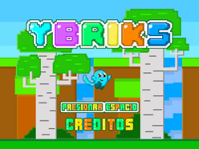 YBRIKS Image