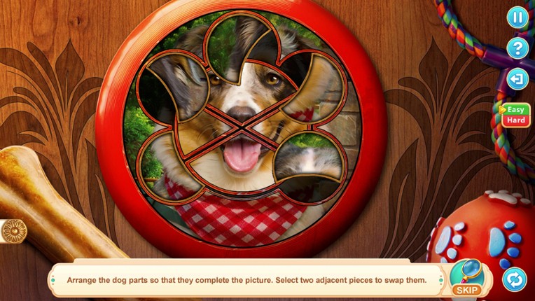 Home for Friends: Beloved Pets Collector's Edition screenshot