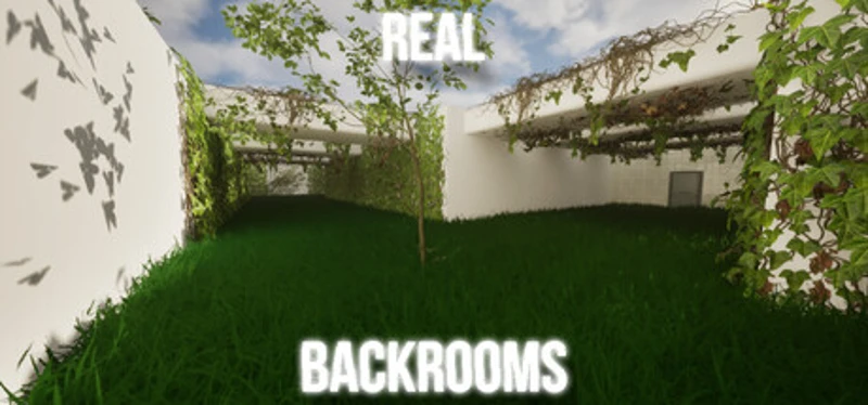 Real backrooms Image