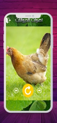 2020 اصوات الحيوانات screenshot