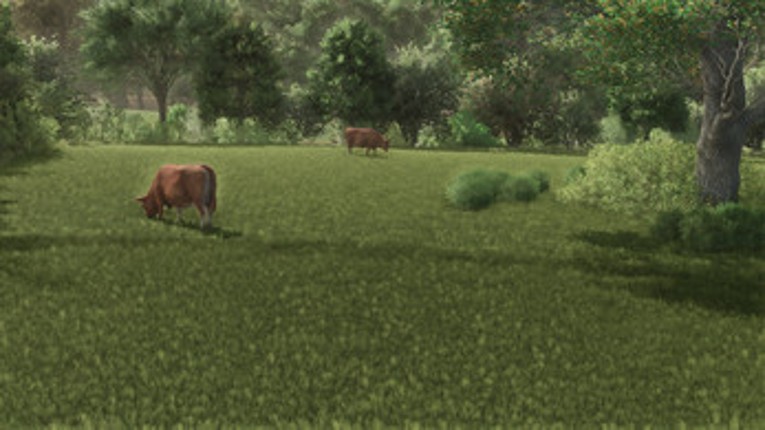 FS25 Open Pastures Image