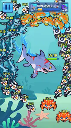 Ocean Club-Fish Fight Image