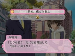 Junjou Romantica: Koi no Doki-doki Daisakusen Image