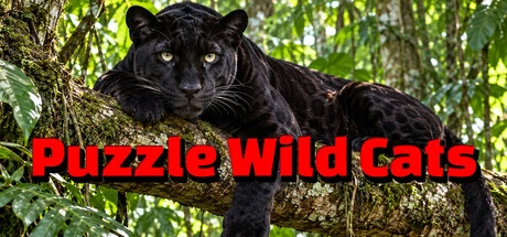 Games like Puzzle Wild Cats