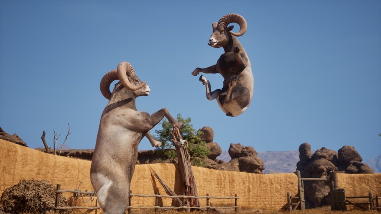 Ram Fights screenshot