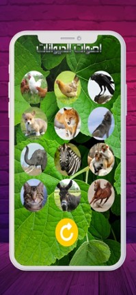 2020 اصوات الحيوانات screenshot