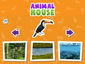 Animal  House game Image