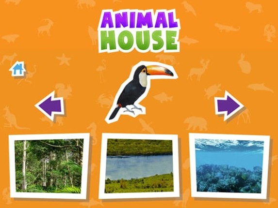 Animal  House game Game Cover