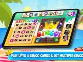 Bingo Dice - Live Classic Game Image