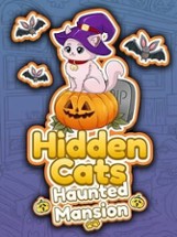 Hidden Cats: Haunted Mansion Image