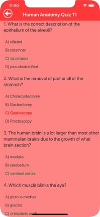 Human Anatomy Quizzes Image