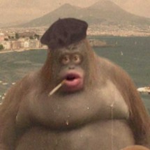 MONKE Image