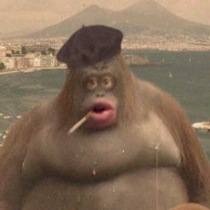 MONKE Image