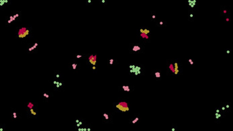Particle Life Simulator Image