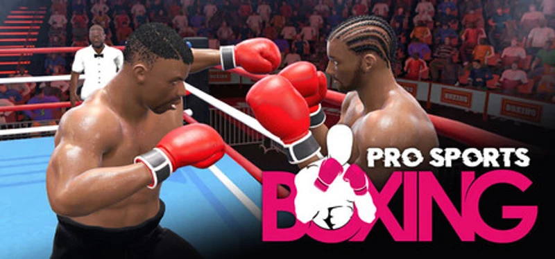 Pro Sports Boxing Image