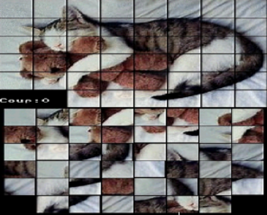 Sliding Puzzles Image