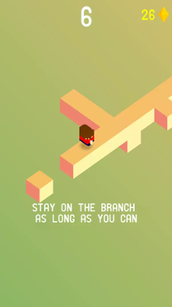 The Branch Image