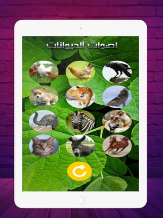 2020 اصوات الحيوانات screenshot