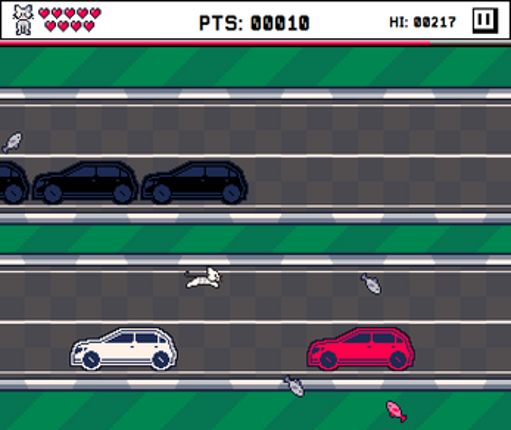 Cat vs Cars Image