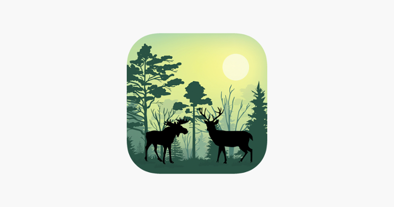 Forest Animals Simulator Image