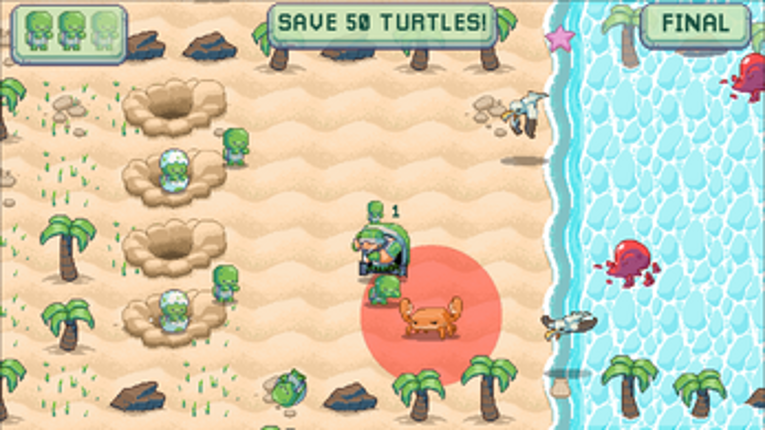 Turtle Daddy screenshot