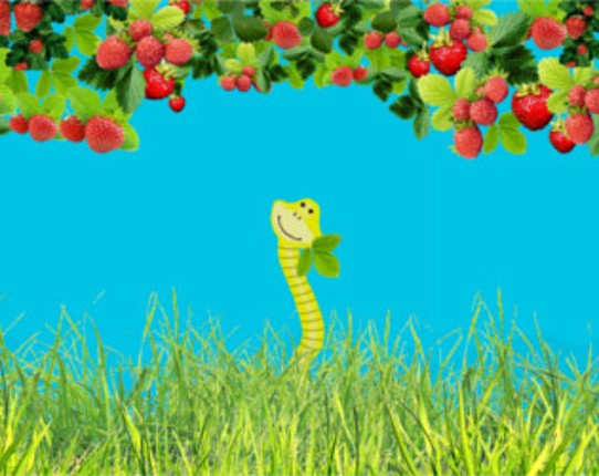 Yellow Snake Image