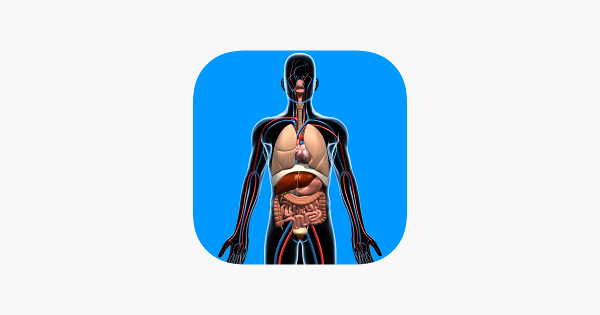 Games like Human Anatomy Quizzes