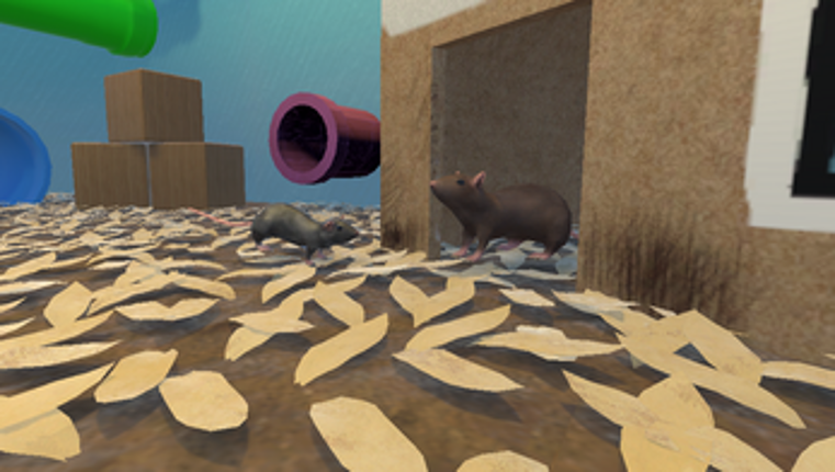 Lab Rat (GPW/IP3 2024-2025) screenshot