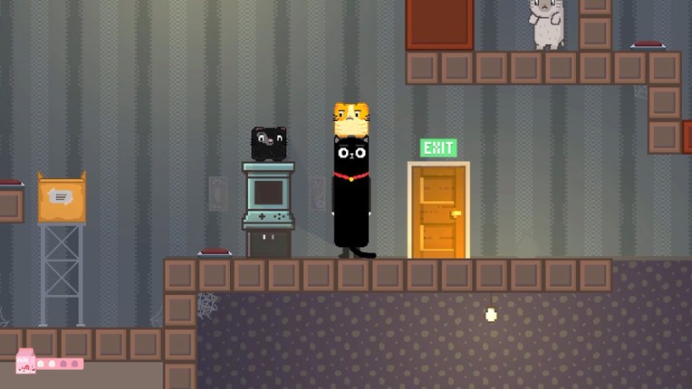 Super Long Cat Image