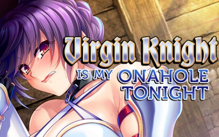 Games like Virgin Knight Is My Onahole Tonight