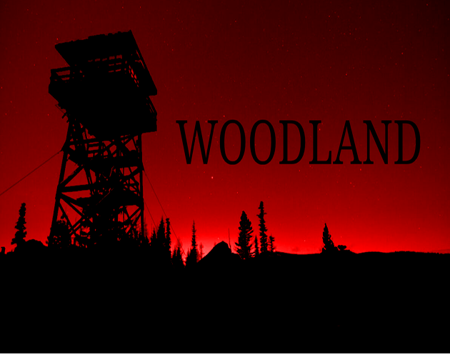 Games like WOODLAND