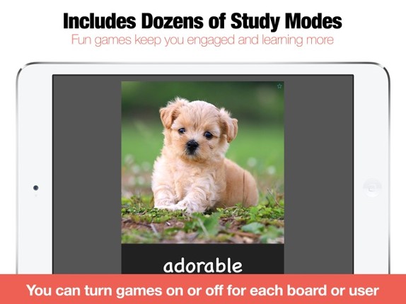 Bitsboard Flashcards PRO screenshot