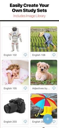 Bitsboard Flashcards PRO screenshot