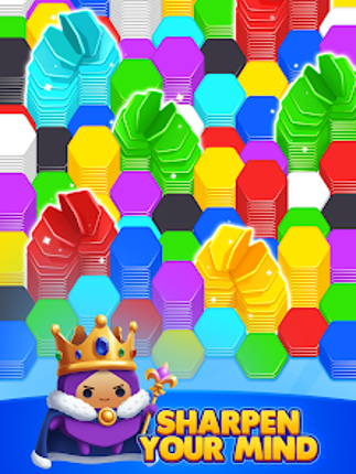 HexaGo - Sorting Puzzle screenshot