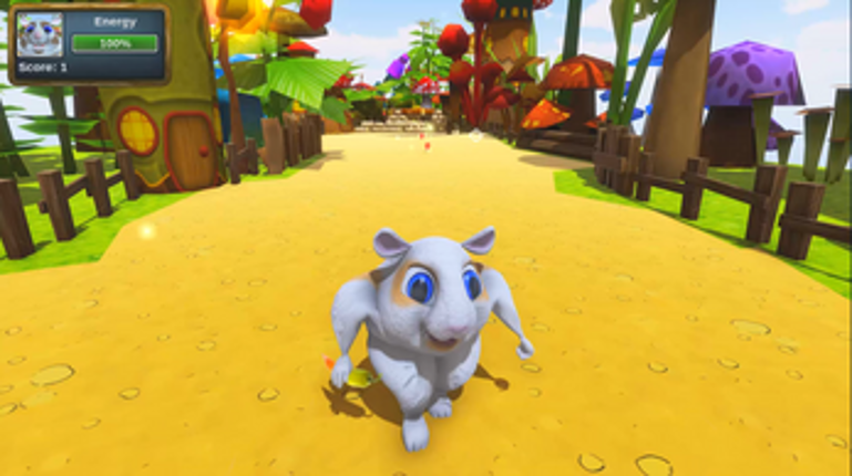 Hamster Run Image