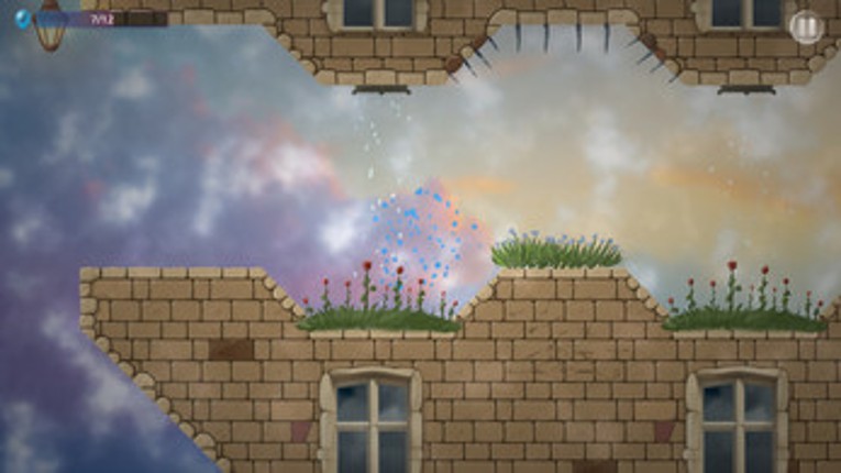 Labyrinth Flight Image