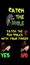 Catch the Moles Image