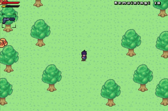 Forest Adventures Image