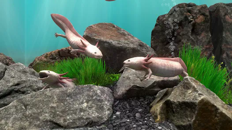 Fish Farm 4: 3D Aquarium screenshot