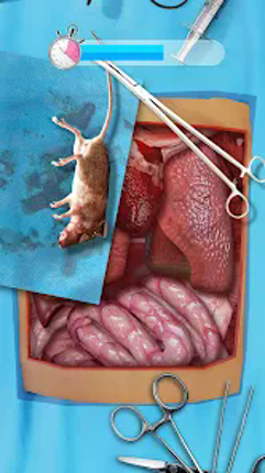 Doc Ragdoll Clinic Simulator Image