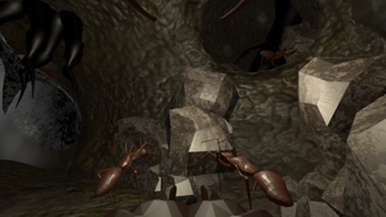 Operation Anthill Image