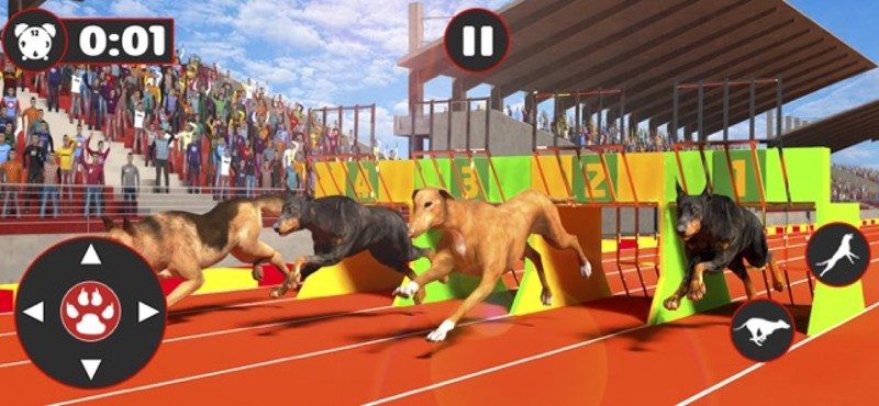 Greyhound Dog Racing Derby Image