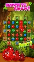 Jungle Jam - Juicy Fruit Match-3 Game Image