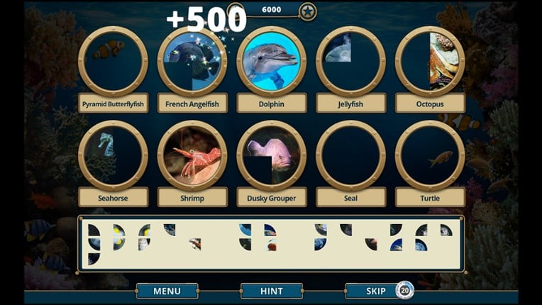 Sea Life Explorer Collector's Edition screenshot