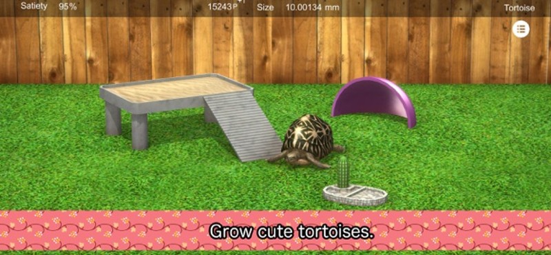 Tortoise to grow relaxedly screenshot